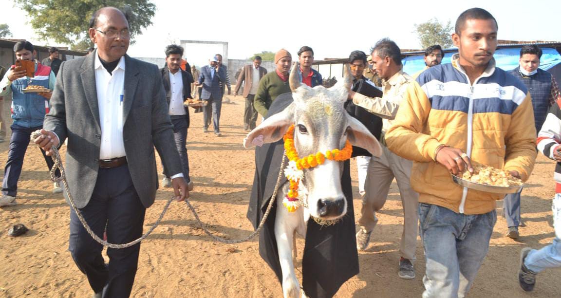 गोवंशी पशुओं की पूजा कर डीएम ने अधिकारियों को दी सीख