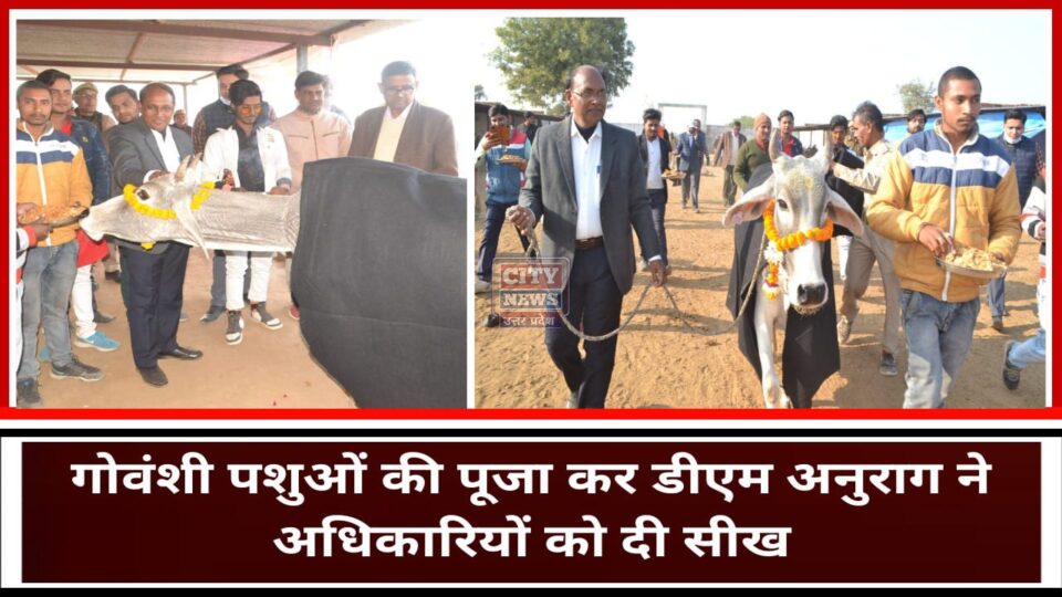 गोवंशी पशुओं की पूजा कर डीएम ने अधिकारियों को दी सीख