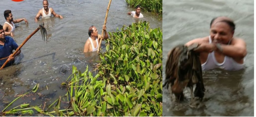 डीएम अनुराग मिर्जापुर की तर्ज पर तालाबो में चलायेगें कुम्भी हटाओ अभियान