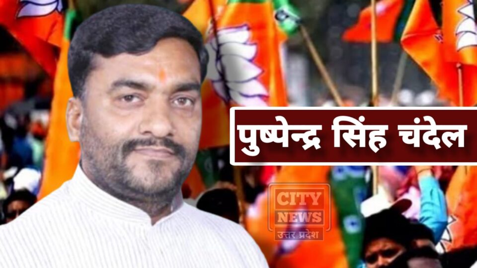 लोकसभा चुनाव : हमीरपुर-महोबा-तिंदवारी सीट से तीसरी बार भाजपा ने पुष्पेंद्र सिंह चंदेल पर जताया भरोसा
