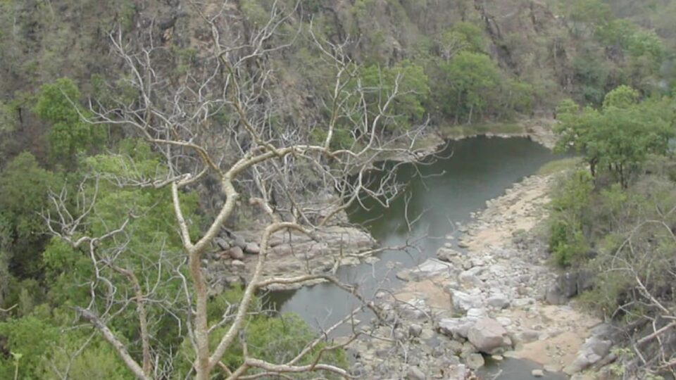 यूपी और एमपी की सीमा विवाद होगा खत्म : ‘मित्र वन’ करायेगा मित्रता