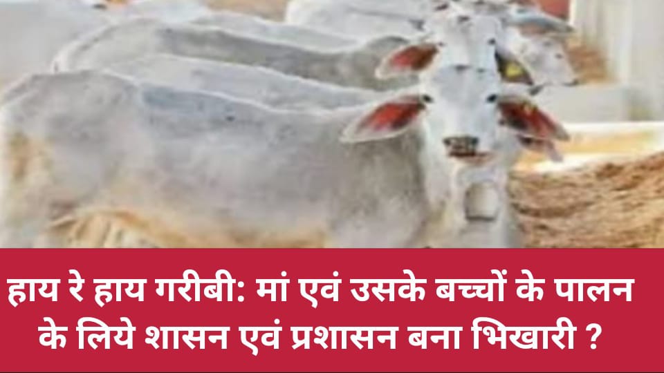 हाय रे हाय गरीबी: मां एवं उसके बच्चों के पालन के लिये शासन एवं प्रशासन बना भिखारी ?