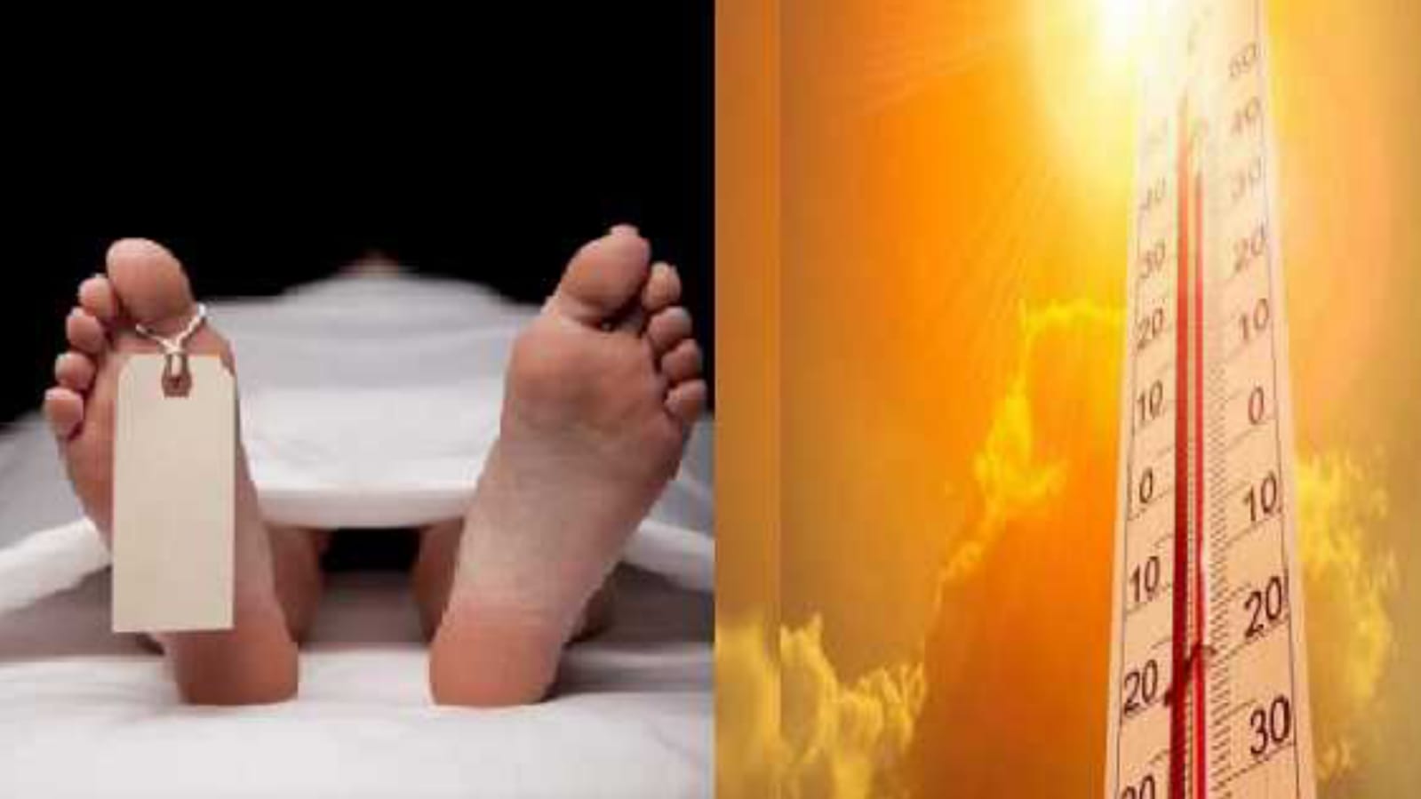 जानलेवा हुई भीषण गर्मी: महोबा में लू और बुखार से 14 की हुई मौत, गर्म हवाओं ने सभी को झकझोरा