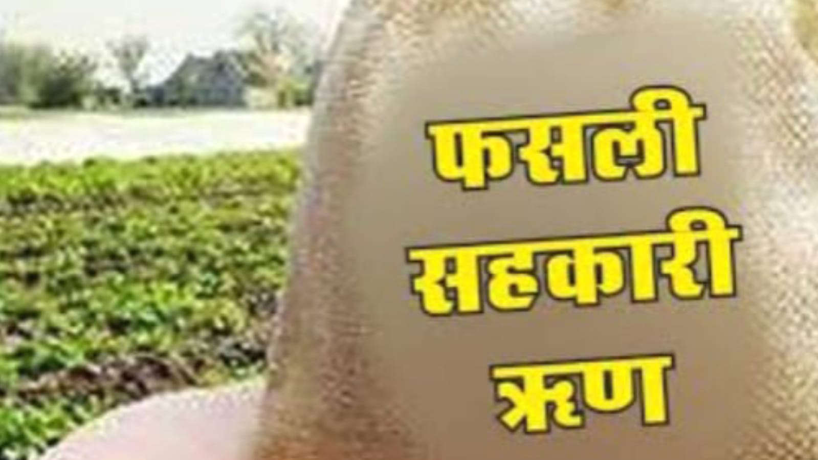 किसानों पर ऋण वसूली का बरसेगा डंडा : सहकारी समितियों में 40 करोड़ बकाया