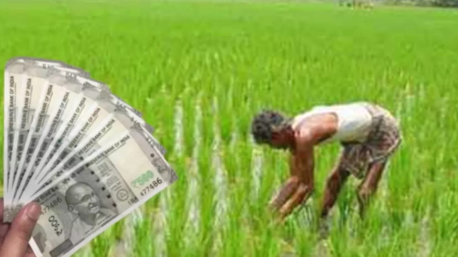 किसानों पर ऋण वसूली का बरसेगा डंडा : सहकारी समितियों में 40 करोड़ बकाया