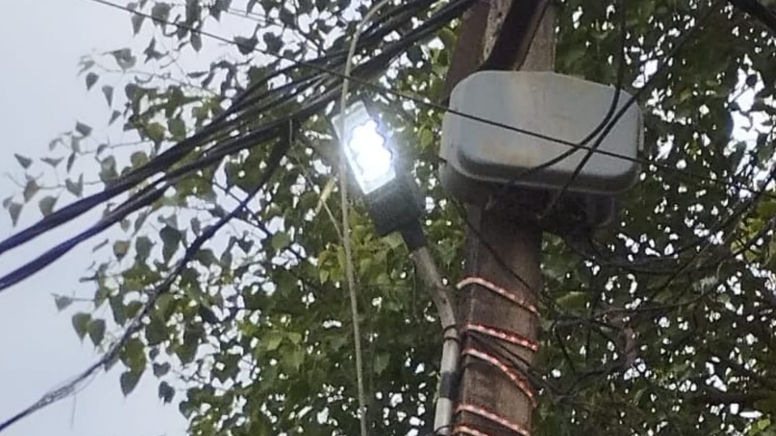बिजली व्यवस्था को मुंह चिढ़ातीं रात दिन जलती शहर की स्ट्रीट लाइटें