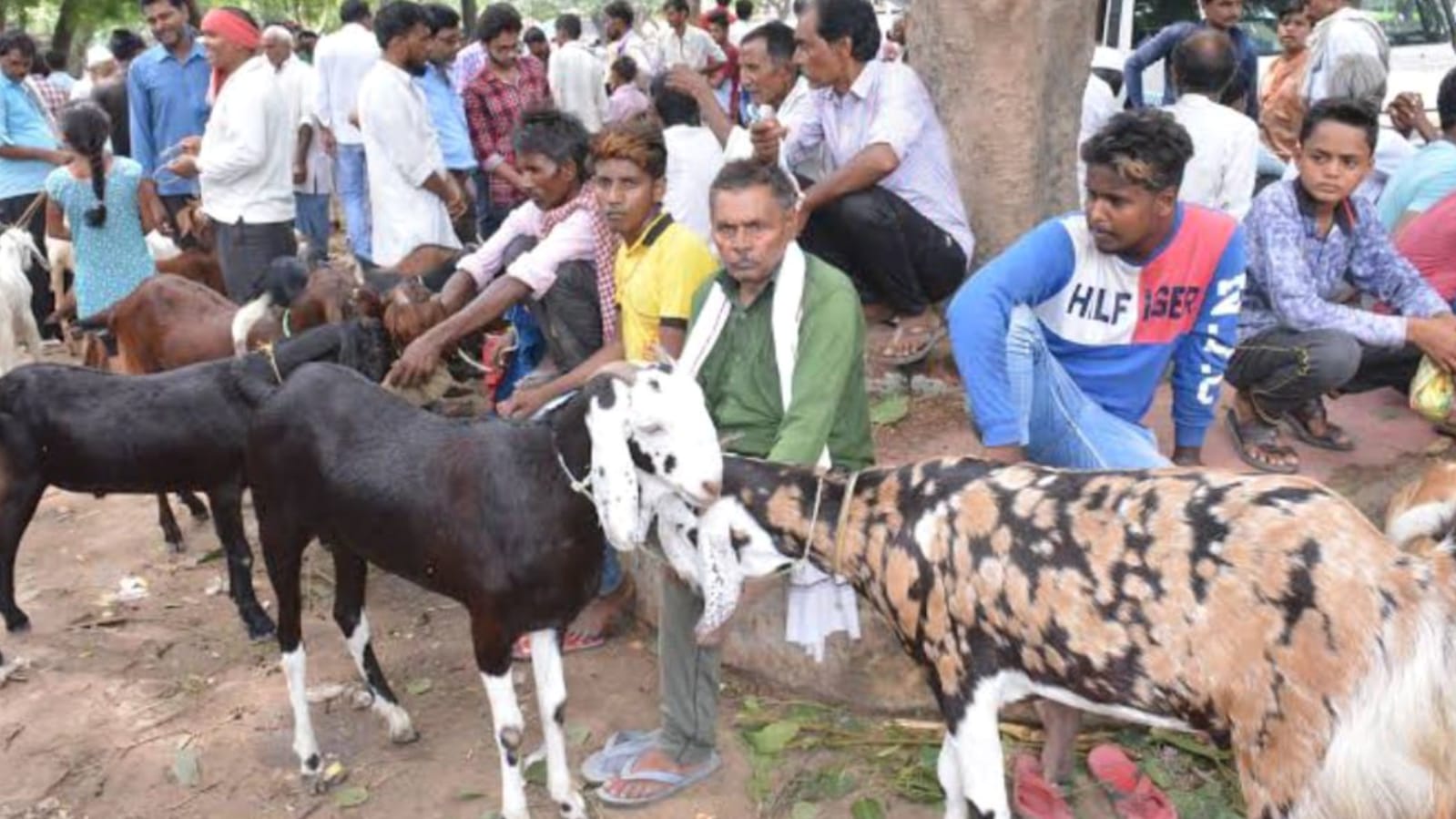 बकरीद की पूर्व संध्या पर बाजार जमकर हुए गुलजार: बकरा बाजार रहा गर्म