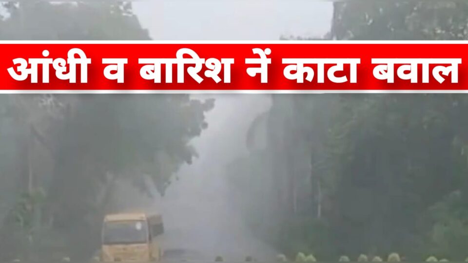 आंधी व बारिश नें काटा बवाल : तारों पर गिरे पेड़, बिजली हो गई ढेर