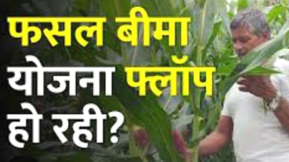बीमा कंपनी लगा रही किसानों को चूना : खरीफ में 17 करोड़ वसूले, दिया महज 2.44 करोड़