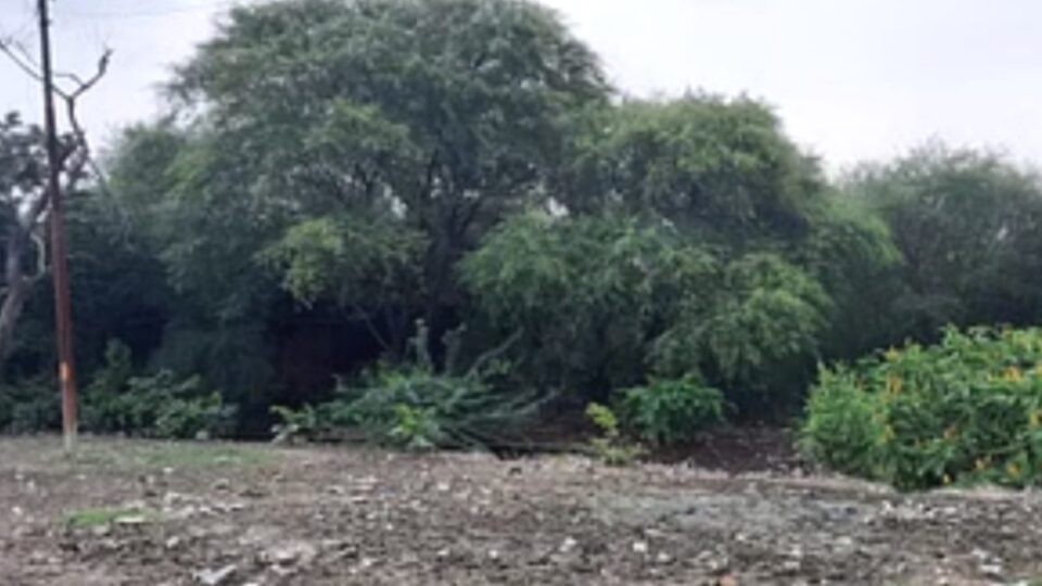 बांदा में दो अरब की 94353 वर्ग मीटर सरकारी भूमि पर कब्जे: प्रशासन खाली कराने में नाकाम