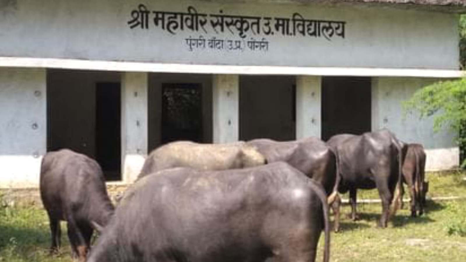 "देववाणी स्थल" की दुर्दशा साल में एक बार ही खुलता है "पट", पुजारी लगाते हैं हाजिरी