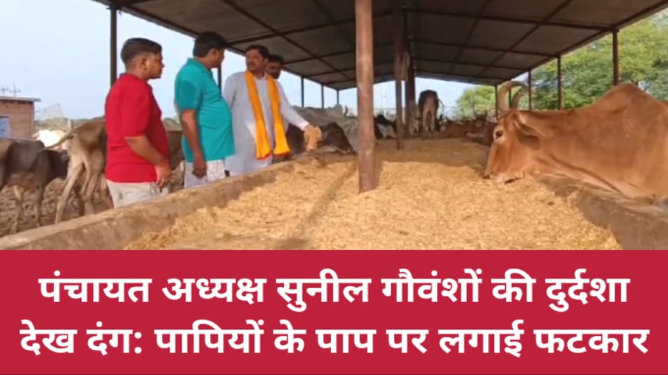 पंचायत अध्यक्ष सुनील गौवंशों की दुर्दशा देख दंग: पापियों के पाप पर लगाई फटकार