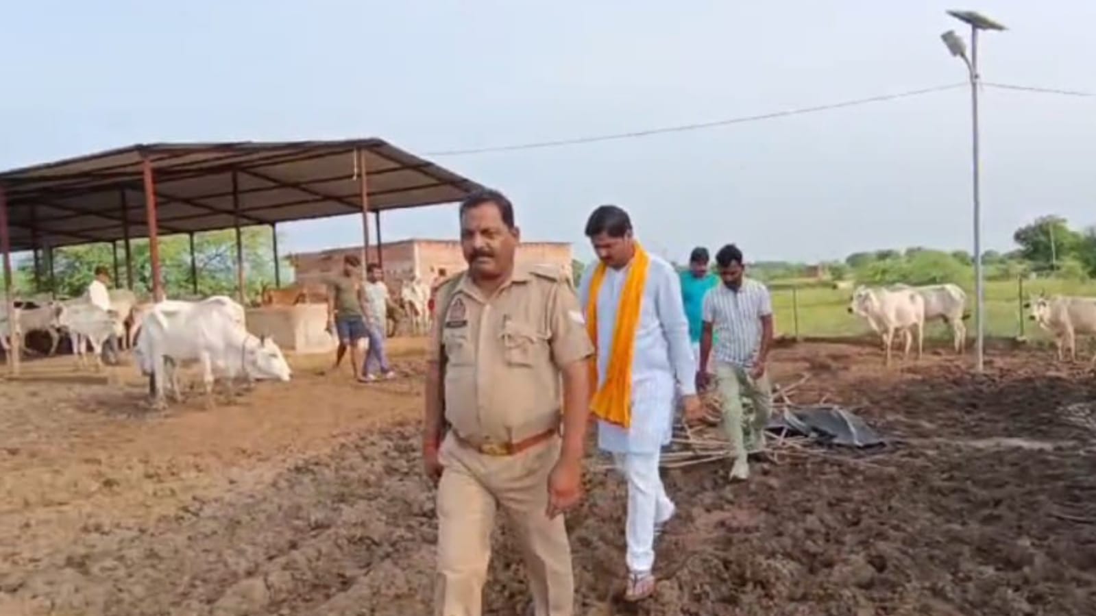 पंचायत अध्यक्ष सुनील गौवंशों की दुर्दशा देख दंग: पापियों के पाप पर लगाई फटकार
