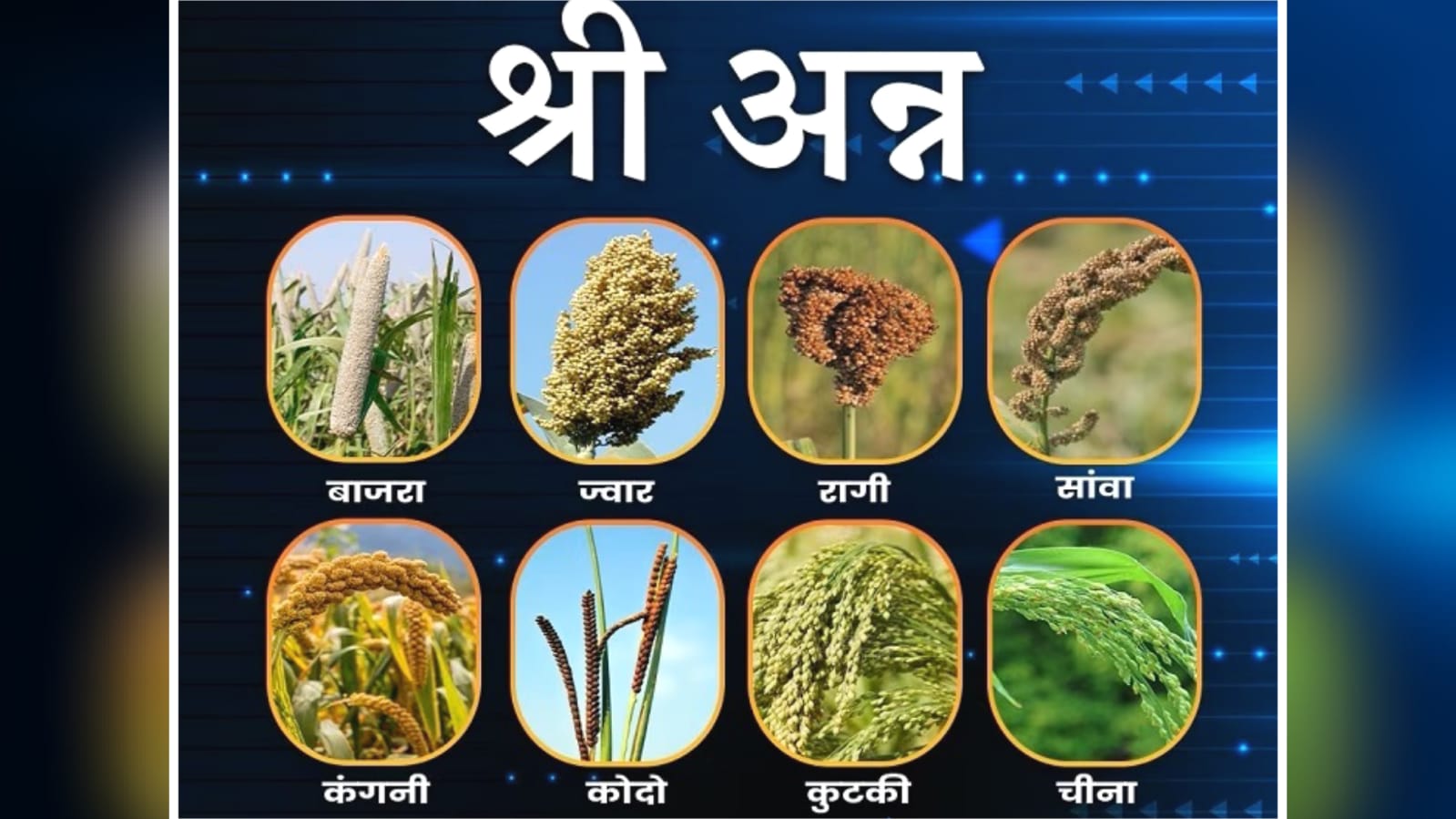 "श्री" नहीं बन पाई "भाग्य श्री" : सरकारी कवायदें चारों खानें चित्त ! खुल गई लफ्फाजी ?