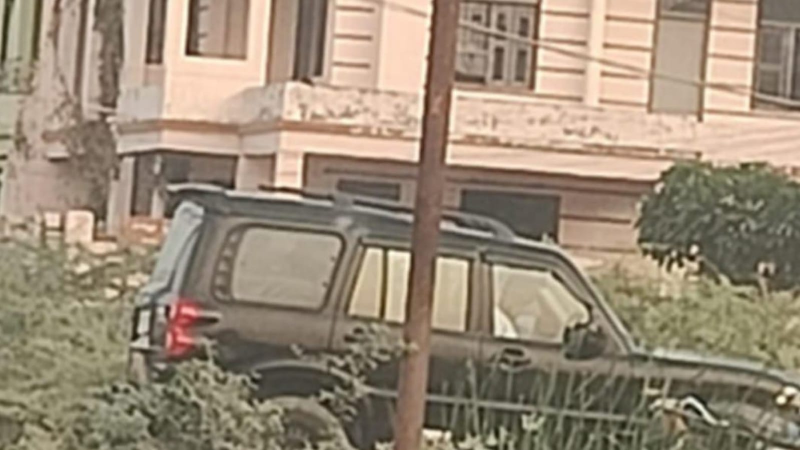 पथरी खदान माफिया के "टुकड़ों पर प्रशासन एवं पत्रकारों के झुंड फिदा" ? वफादारी देख "कुत्ते भी शर्मिंदा" ?
