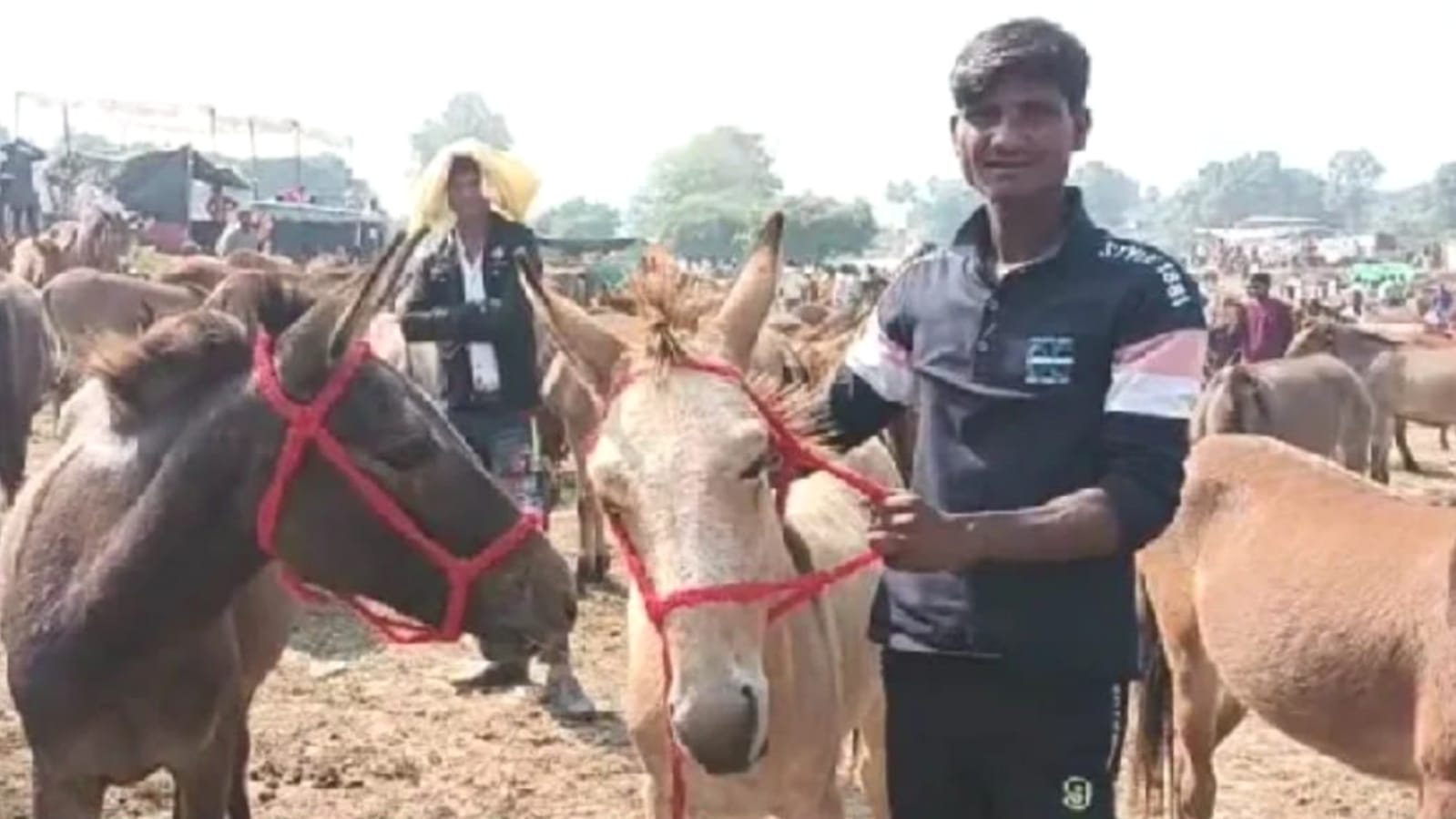 मंदाकिनी तट पर लगा ऐतिहासिक गधा बाजार : फिल्मी स्तरों के नाम पर हो रही बिक्री