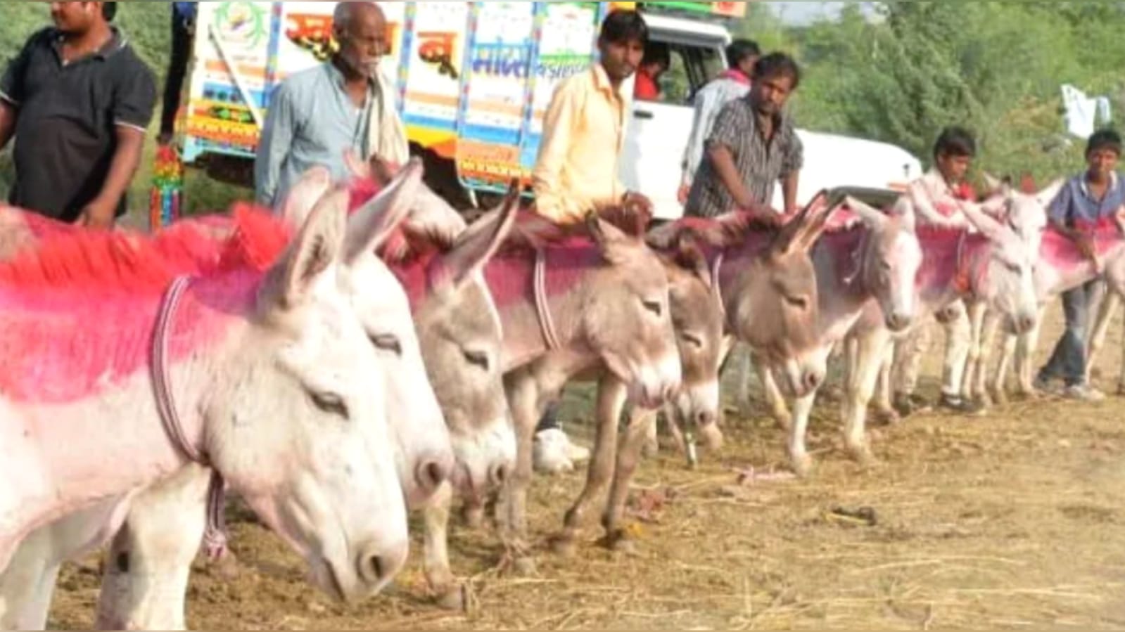 मंदाकिनी तट पर लगा ऐतिहासिक गधा बाजार : फिल्मी स्तरों के नाम पर हो रही बिक्री