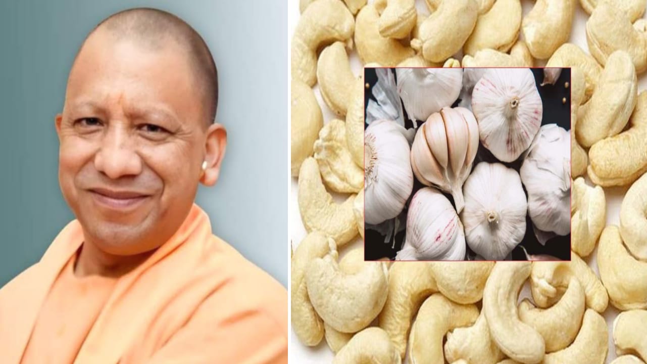योगी सरकार ले आई चित्रकूट मंडल के किसानों के लिए धामाकेदार ऑफर: अब नहीं बिकेगा लहसुन काजू के भाव