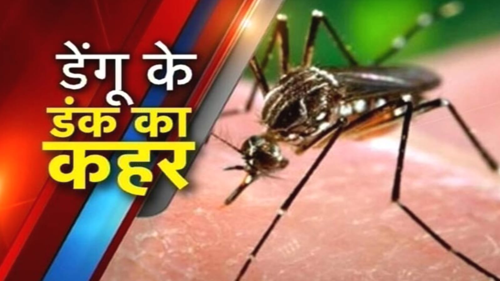 डेंगू के डंक का बढ़ता कहर: अब तक 39 पाजिटिव केस मिले, एहतियात की सलाह