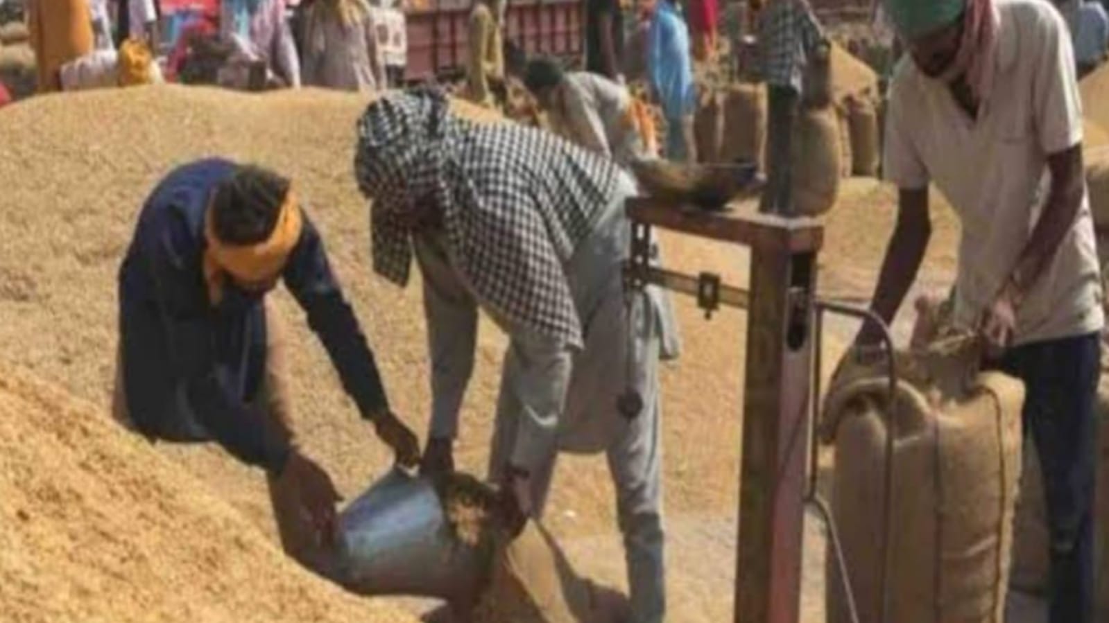 किसानों के पेट को आढ़तियों नें बना दिया फुटबाल:पतले धान पर नहीं दे रहे मोटी रकम