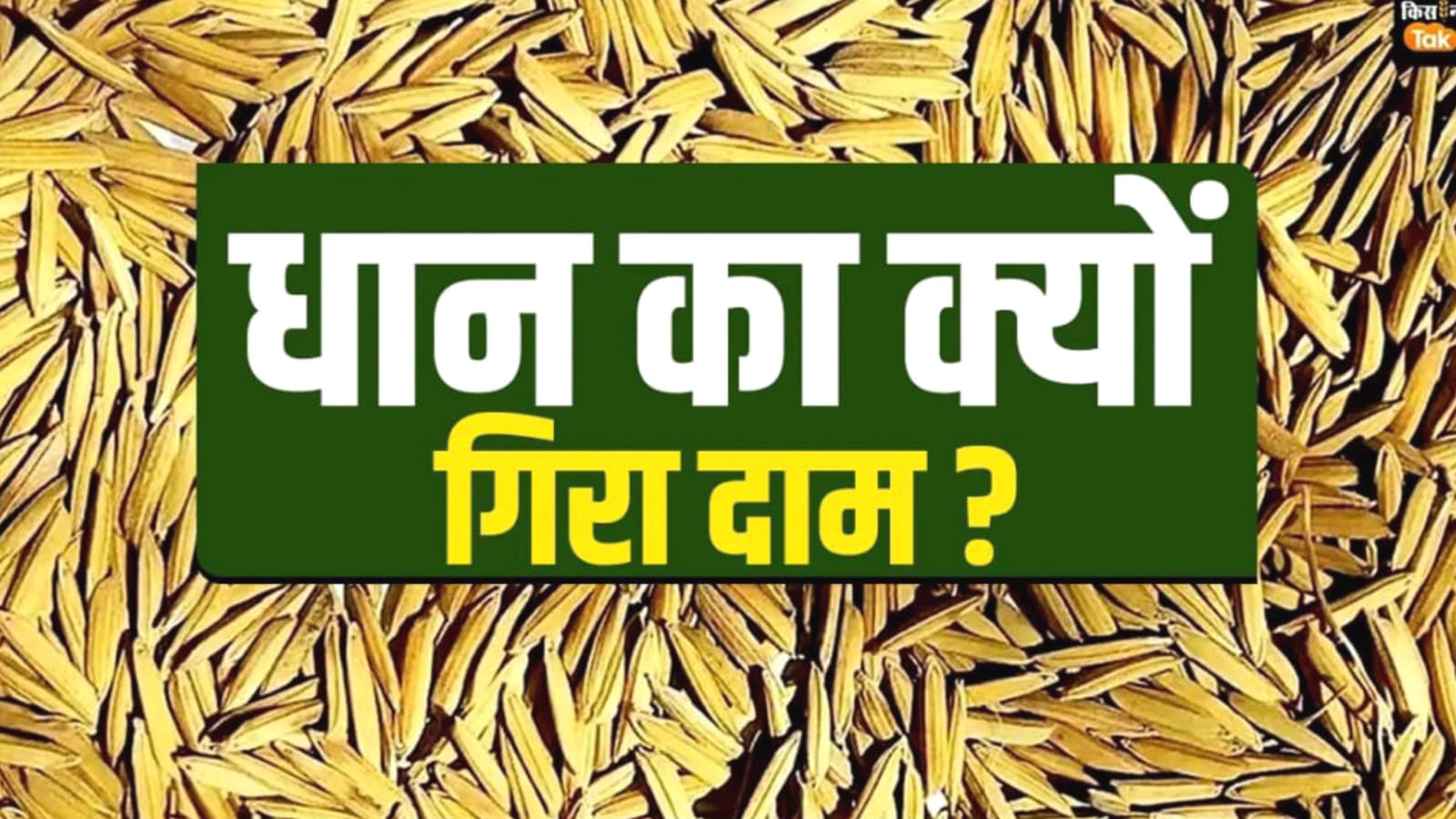 किसानों के पेट को आढ़तियों नें बना दिया फुटबाल:पतले धान पर नहीं दे रहे मोटी रकम
