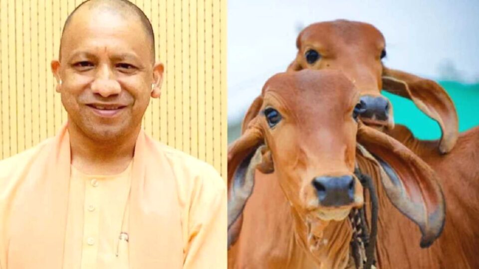 चित्रकूट मंडल में 35 करोड़ की लागत से डेयरी उद्योग की होगी स्थापना: कार्ययोजना हुई तैयार