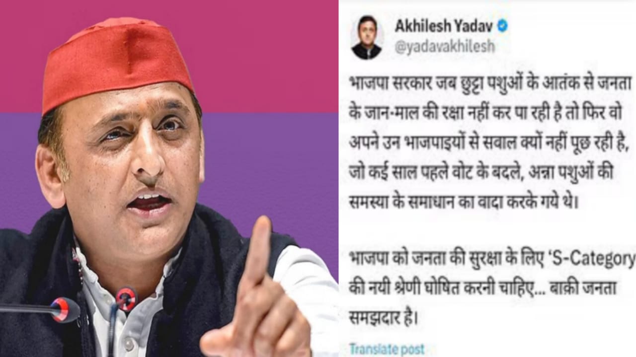 अखिलेश यादव ने बांदा में "अन्ना साड़ों की जंग पर कसा तंज": भाजपा सरकार पर साधा निशाना