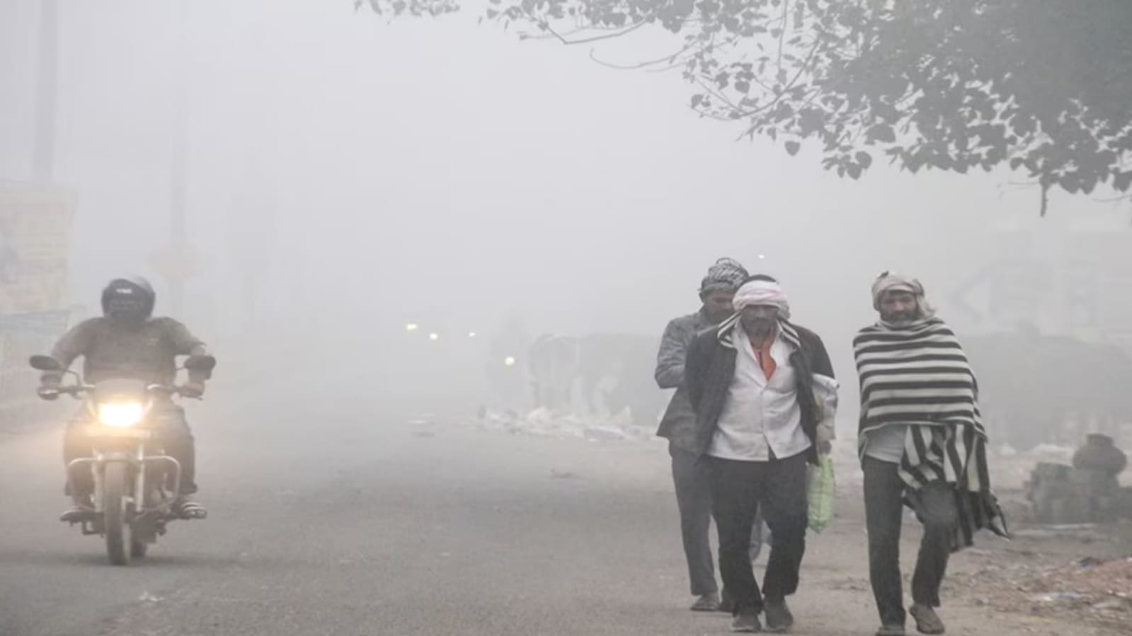 सर्दी का सितम : बारिश से बढ़ी ठंड, शीतलहर से कांपे लोग, कोहरे और गलन ने बढ़ाईं मुश्किलें