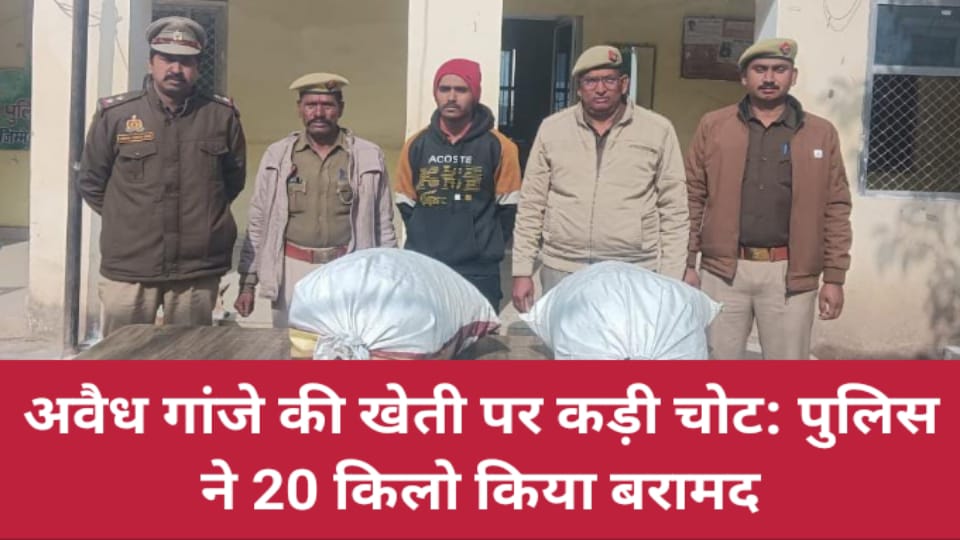 अवैध गांजे की खेती पर कड़ी चोट: पुलिस ने 20 किलो किया बरामद, आरोपी गिरफ्तार
