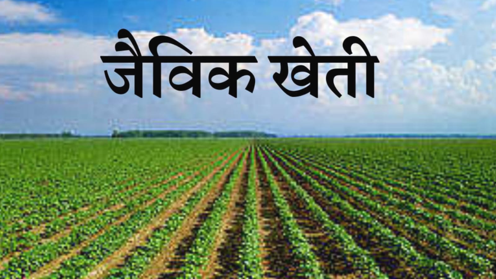 रासायनिक खाद दंगल : मूत्र नें किया यूरिया खाद को चित्त !