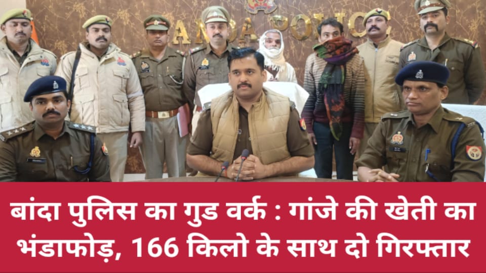 बांदा पुलिस का गुड वर्क : गांजे की खेती का भंडाफोड़, 166 किलो के साथ दो गिरफ्तार