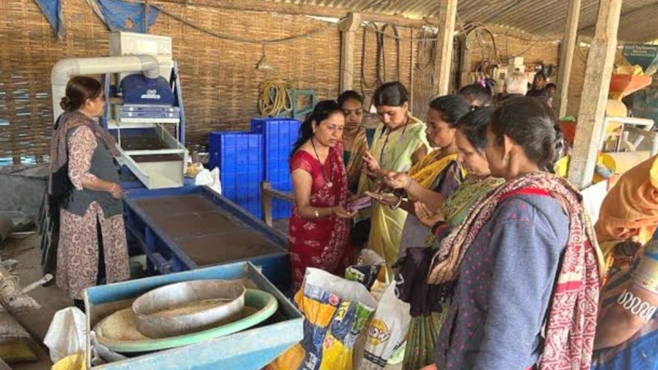 मोटे अनाज की मोटी मांग : मोटा मुनाफा कमा रहे दुकानदार