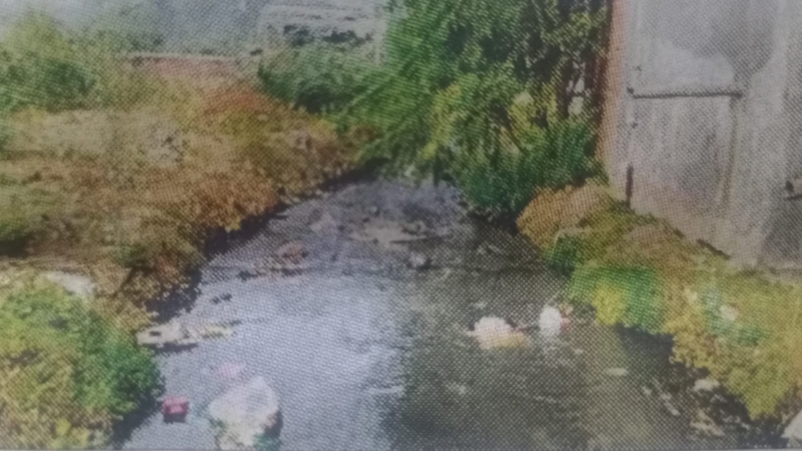 सिंचाई विभाग की चेतावनी धराशाई: नहीं हुई ध्वस्तीकरण की कार्यवाई