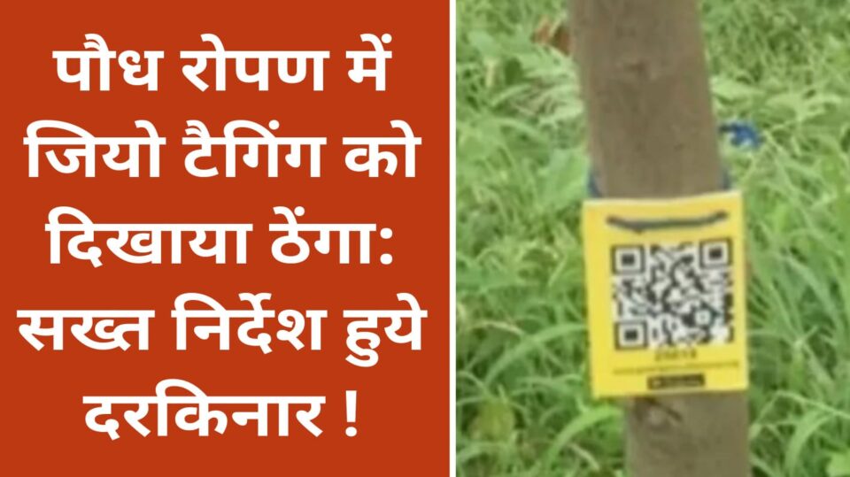 पौध रोपण में जियो टैगिंग को दिखाया ठेंगा: सख्त निर्देश हुये दरकिनार !