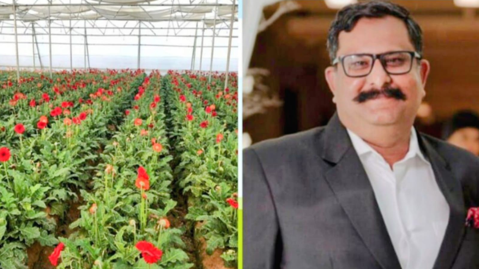 गजब की खबर : वेलेंटाइन डे पर बुंदेलखंड के गुलाब से महकेंगे यूपी जिले