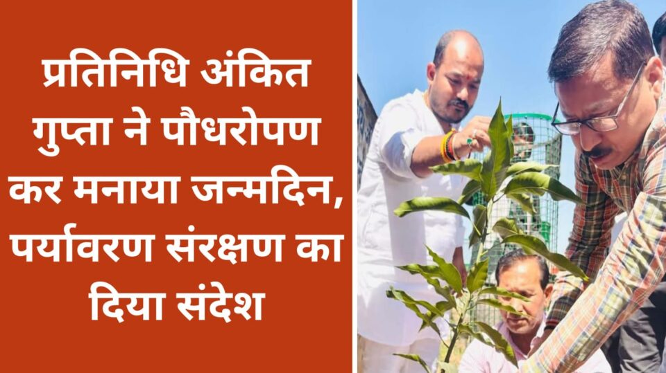 प्रतिनिधि अंकित गुप्ता ने पौधरोपण कर मनाया जन्मदिन, पर्यावरण संरक्षण का दिया संदेश