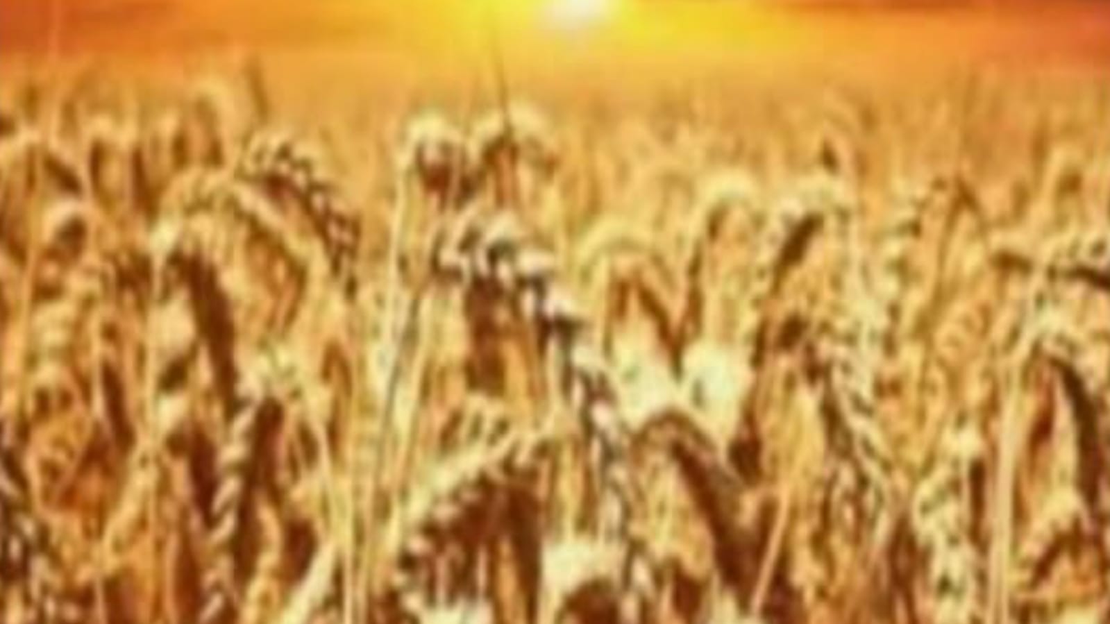 पाकिस्तान के गर्म तेवरों नें बुंदेलखंड में बर्बादी का किया शुरू तांडव !