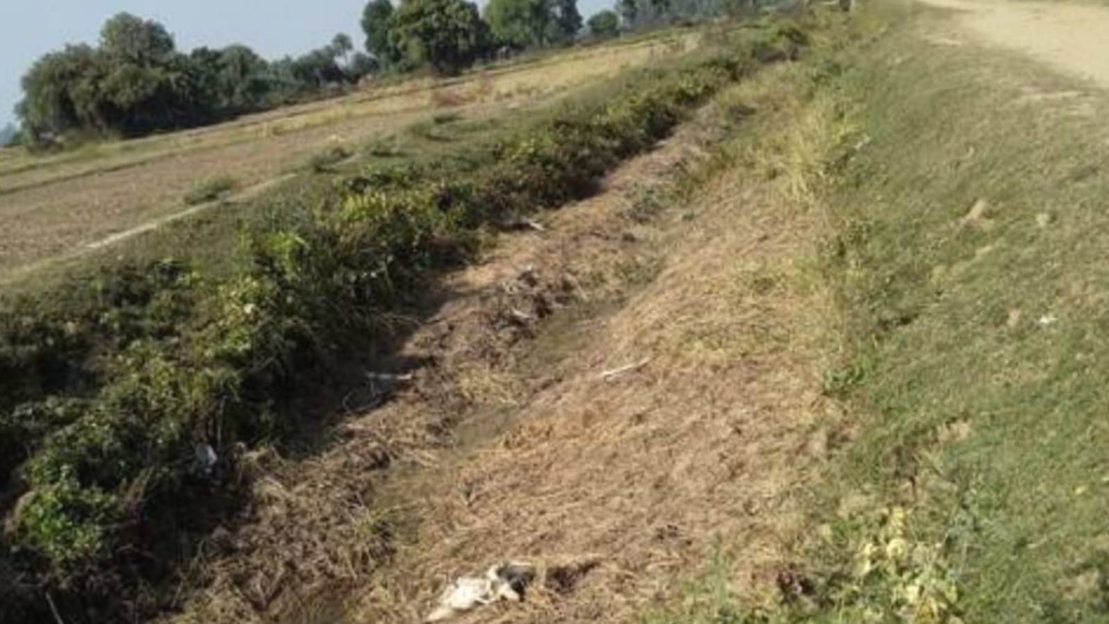 केन नहर प्रणाली अब करेगी अठखेली : 1191 करोड़ मंजूर,अगले माह से काम होगा शुरू