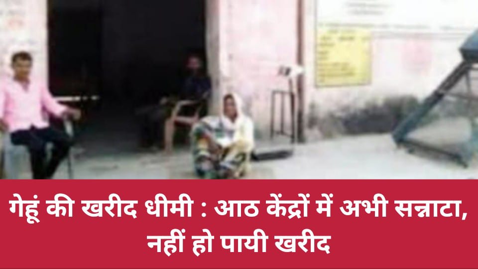 गेहूं की खरीद धीमी : आठ केंद्रों में अभी सन्नाटा, नहीं हो पायी खरीद
