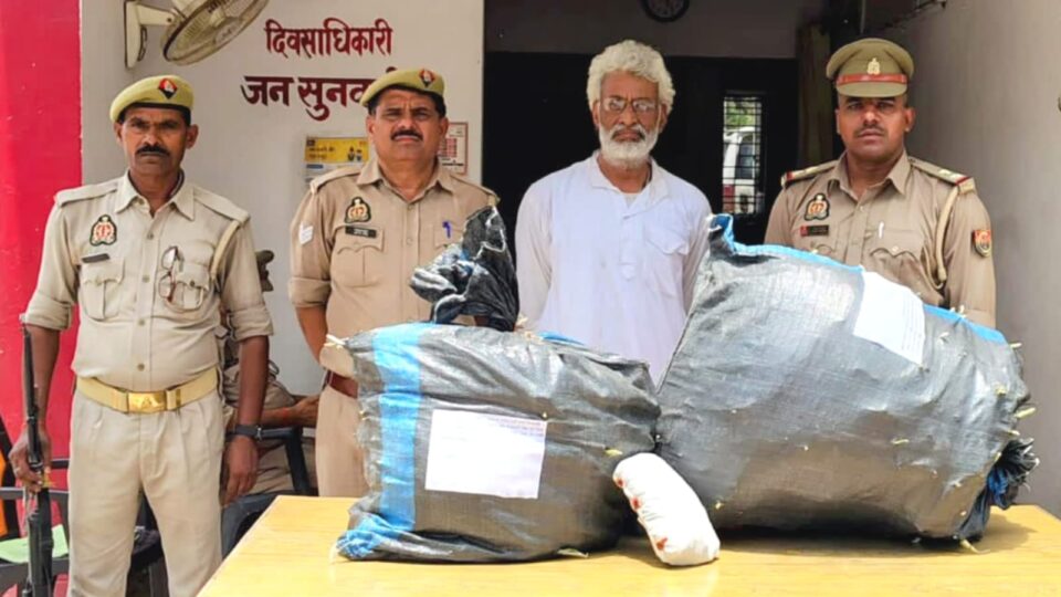 राइस मिल की ज़मीन पर 'नशे' की खेती: पुलिस ने पकड़ा 22 किलो गांजा, तस्कर गिरफ्तार
