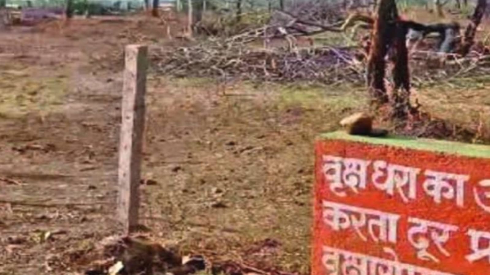 चित्रकूट मंदल बना भ्रष्टाचार का जंगल: करोड़ों का हरियाली खेल उजागर, सिस्टम मौन दर्शक ! 