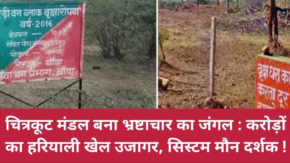 चित्रकूट मंदल बना भ्रष्टाचार का जंगल: करोड़ों का हरियाली खेल उजागर, सिस्टम मौन दर्शक !