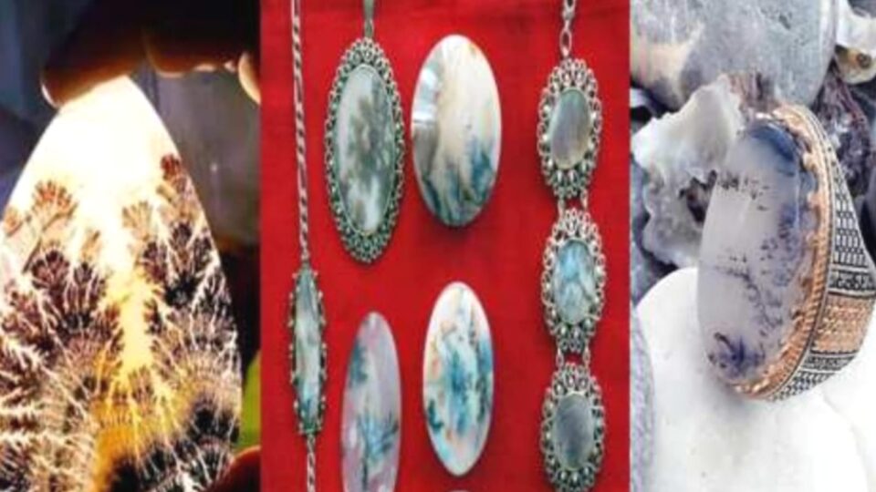 शजर योजना में 3.60 करोड़ का हुआ बड़ा खेल: रोजगार की आड़ में अफसरों का भ्रष्टाचार