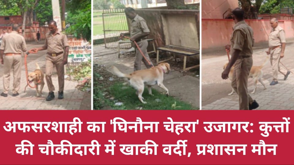 अफसरशाही का 'घिनौना चेहरा' उजागर: कुत्तों की चौकीदारी में खाकी वर्दी, प्रशासन मौन
