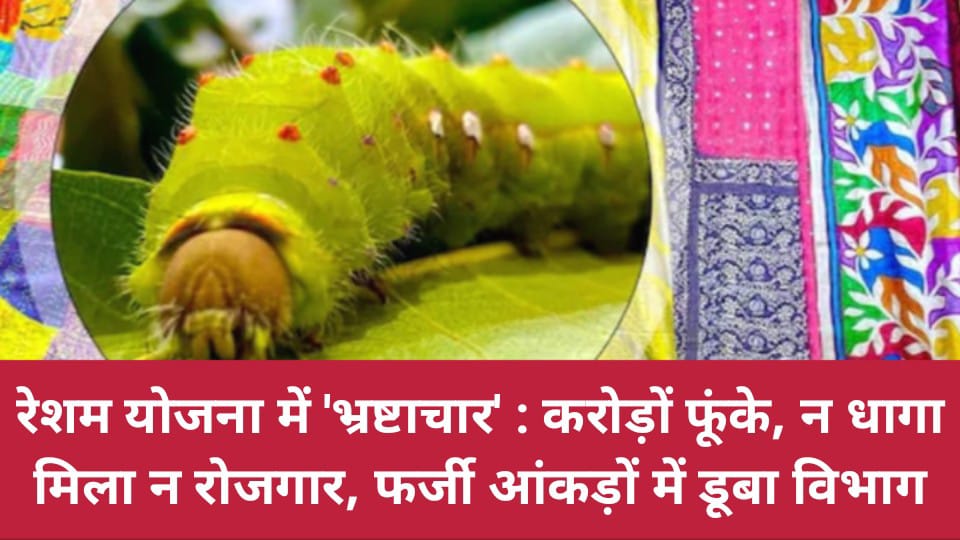 रेशम योजना में 'भ्रष्टाचार' : करोड़ों फूंके, न धागा मिला न रोजगार, फर्जी आंकड़ों में डूबा विभाग