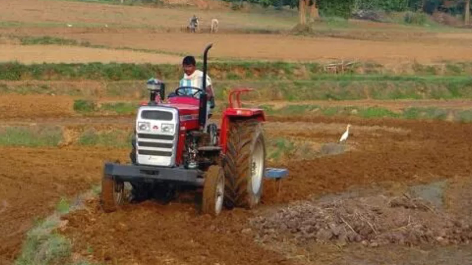 खरीफ सीजन पर 'बीज संकट' की मार: मानसून ने दी दस्तक लेकिन 'सरकारी तंत्र' सोया ?