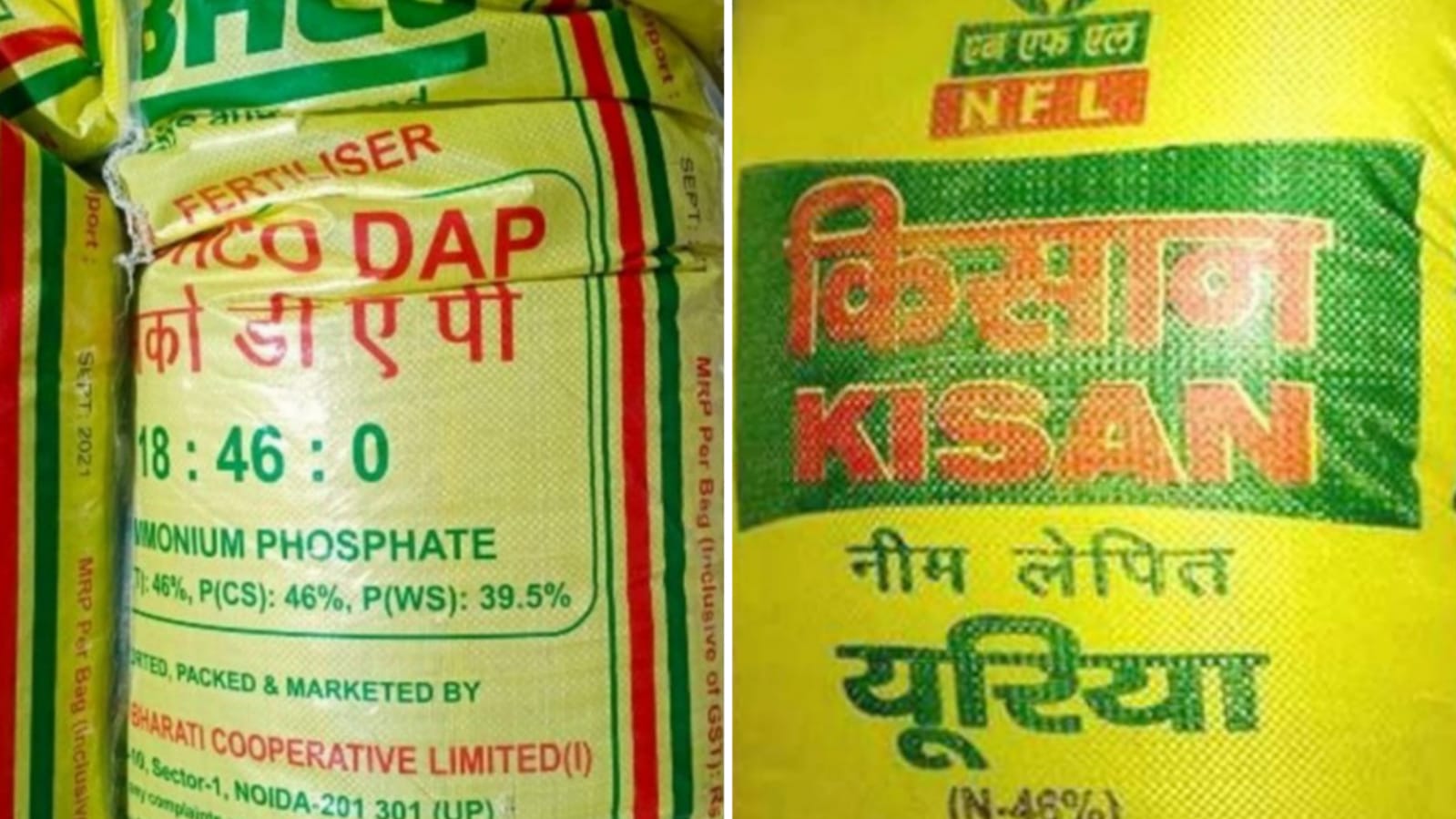 खाली झोली, बेबस किसान: खाद संकट से खेती पर गहराया खतरा, प्रशासन की नहीं टूटी नींद !