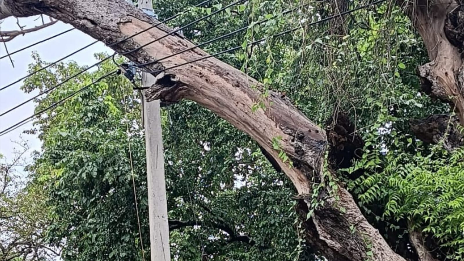 जामूं में लटक रही मौत: जनता चीखी, व्यवस्था सोई, सुनील पटेल पर 'लापरवाही' का आरोप !