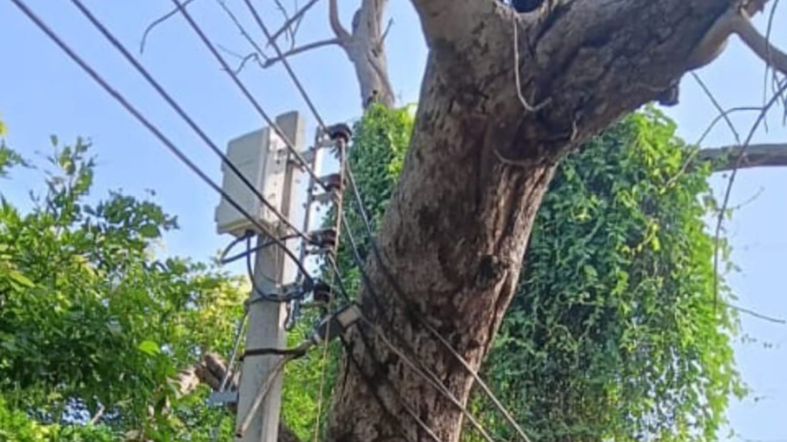 जामूं में लटक रही मौत: जनता चीखी, व्यवस्था सोई, सुनील पटेल पर 'लापरवाही' का आरोप !