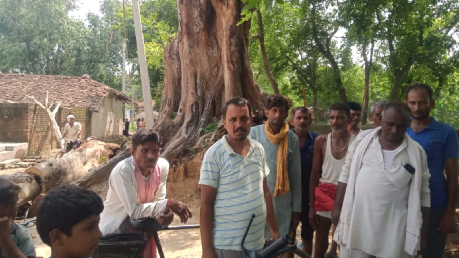 खबर का असर: जामूं गांव में लटक रही 'मौत' कटी, मीडिया की मुहिम से 'जागा सिस्टम'